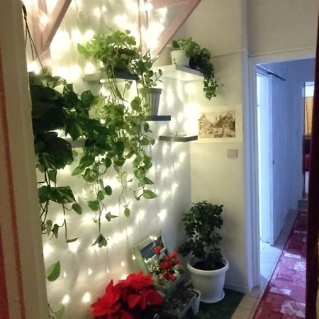 Intero Appartamento Catania Policlinico جرافينا دي كاتانيا المظهر الخارجي الصورة